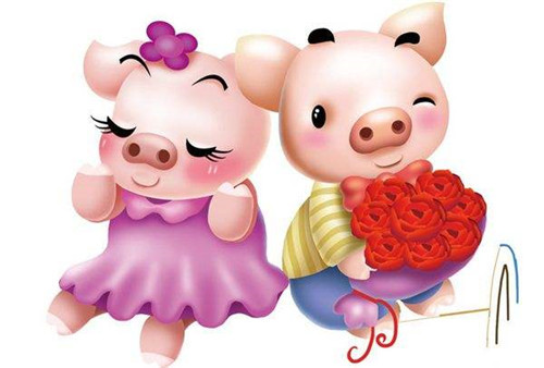 属猪人的婚姻与命运 生肖猪的婚姻怎么样 